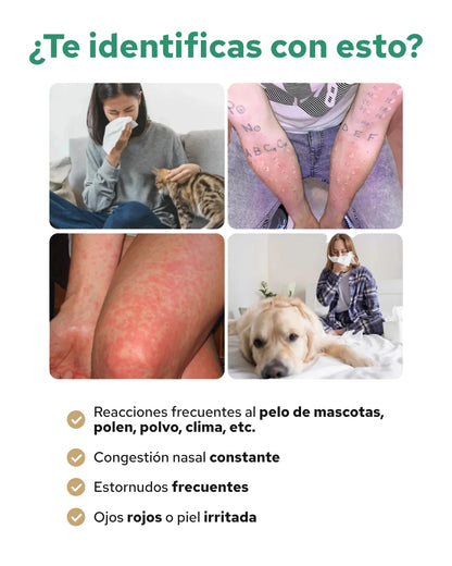 AleryiOff — Bienestar para tu día a día